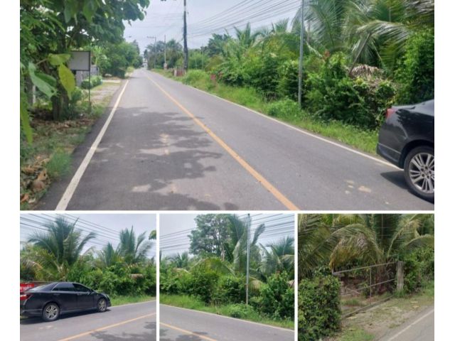 #ขายที่ดิน5ไร่2งาน75ตร.ว.อยู่ติดถนนหลักบ้านช่างเคิ่ง ต.สารภี ใกล้ รพ.สารภี ติดถนนสาธารณูปโภคครบ ไฟฟ้า-ประปา.ขายถูก