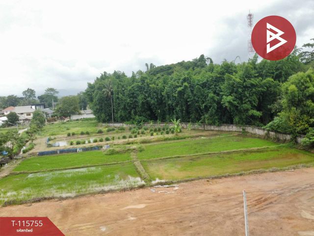 ขายที่ดิน เนื้อที่ 2 ไร่ 72.9 ตร.วา เวียงชัย เชียงราย