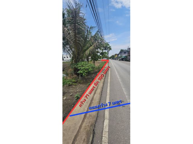 ขายด่วน!! ที่ดินสวนย่านบางกะเจ้า​ ติดถนนใหญ่กว้าง ราคาถูกมาก