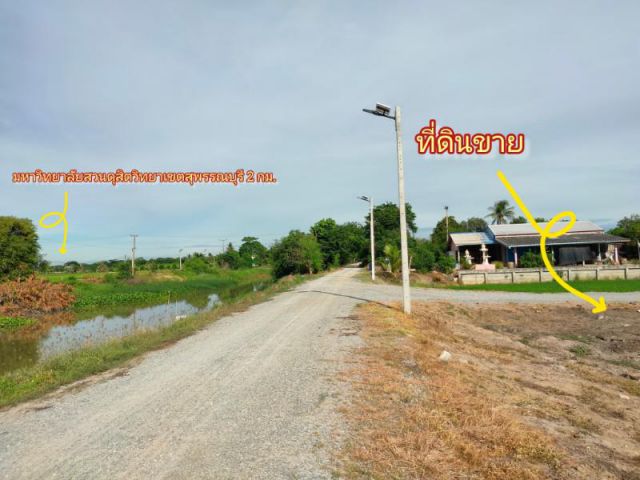 ที่ดินเมืองสุพรรณ ติดคลองขนาดใหญ่ ใกล้ ม.สวนดุสิตสุพรรณบุรี ถมแล้ว เนื้อที่210ตรว.