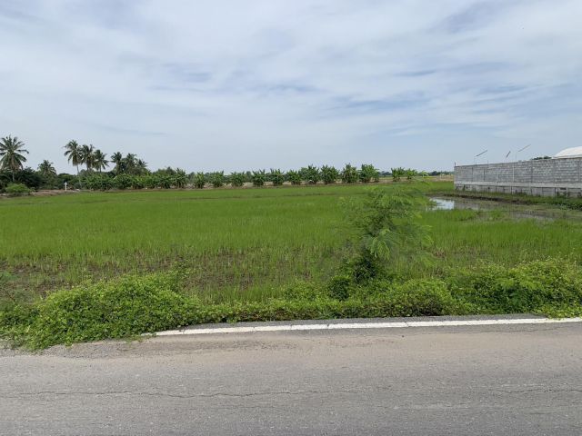 ขายที่ดินแปลงสวยราคาถูกติดคอนกรีต ถนนศาลายามหิดล วัดนราภิรมย์ บ้านคลองแขก ราคาถูก ที่สุดในเขตนี้ ใกล้ชุมชน ติดถนนลาดยาง