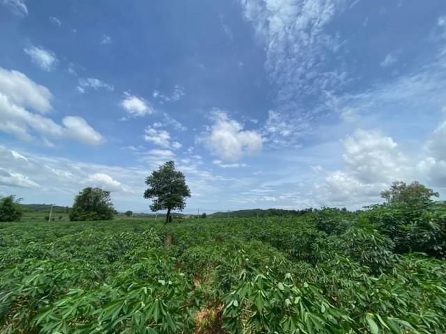 ขายที่ดินบ่อวิน ศรีราชา ชลบุรี