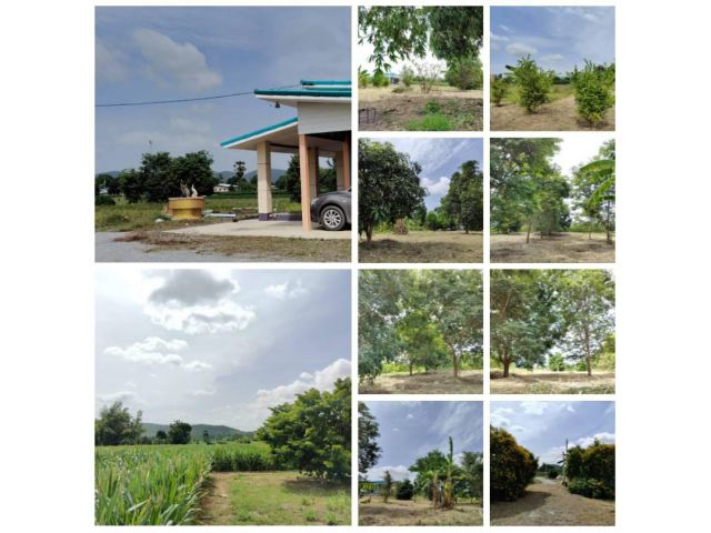 ขายบ้านพร้อมที่ดิน  อยู่ในชุมชน น้ำไฟพร้อม อำเภอเลาขวัญ จ.กาญจนบุรี