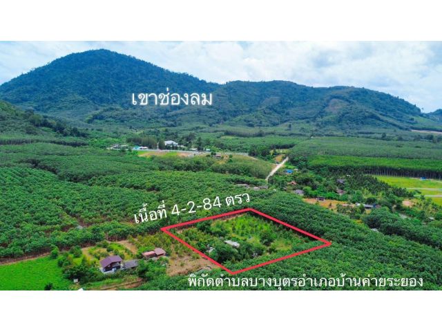 ขายที่ดินพร้อมสวนทุเรียนต.บางบุตรบ้านค่ายจ.ระยอง4ไร่2งาน84ตรว