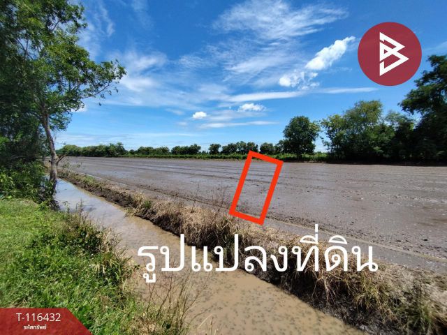 ขายที่ดินด่วน เนื้อที่ 1 ไร่ หนองเสือ ปทุมธานี