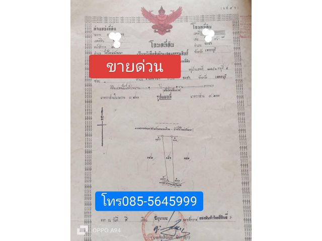 ขายที่ดินด่วน