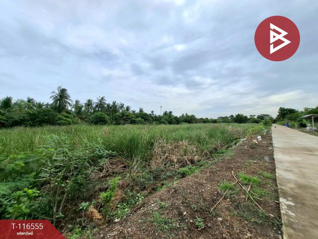 ขายที่ดิน เนื้อที่ 2 ไร่ บางเสาธง สมุทรปราการ