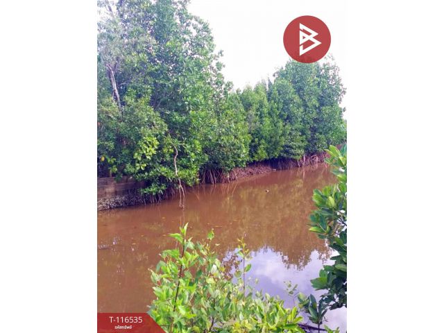 ขายที่ดิน เนื้อที่ 10 ไร่ 1 งาน 87 ตร.วา ปากน้ำ ชุมพร