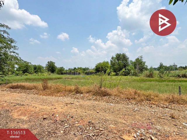 ขายที่ดิน เนื้อที่ 1 งาน 49 ตร.วา วังกระโจม นครนายก