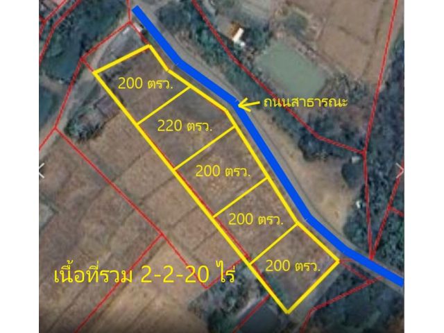 L599-ขายที่ดินเปล่า 2-2-20.2 (ต.แม่คำมี อ.เมืองแพร่ จ.แพร่)