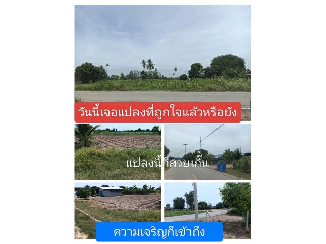 เสนอให้ใหญ่เกินเหตุ เขตที่น่าอยู่รู้แล้วจะพอใจ ที่อาศัยที่พร้อมรอบด้านเป็นย่านที่ควรอยู่ หาแปลงที่เราชอบหาคำตอบให้ตัวเอง