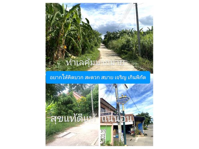 สวยสิ้นสงสัย สวยได้หมดทั้งแปลง สวยแห่งทำเล ใกล้ย่านตลาดหวายเหนียว ชุมชนถนนน้ำไฟแปลงเดียวที่คุ้มในปัจจุบัน