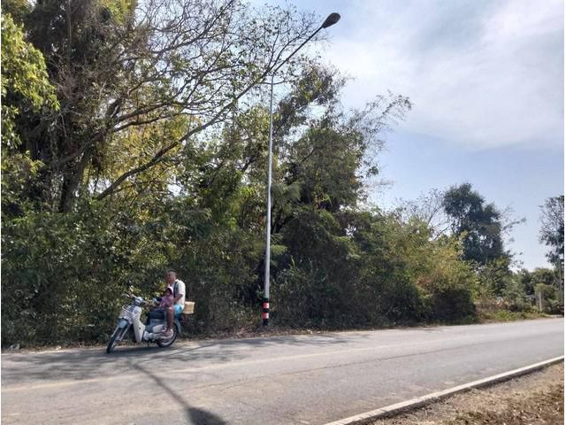 ขายที่ดิน 3-1-20 ไร่  ประโคนชัย บุรีรัมย์ ดินติดชลประทาน
