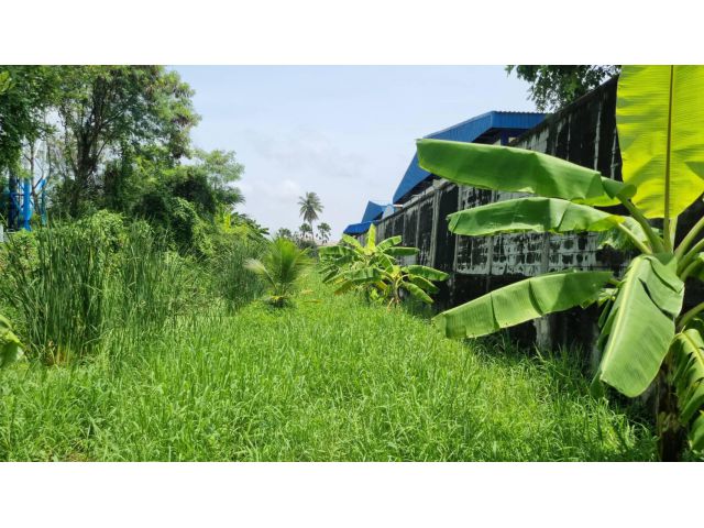 ขายที่ดินท่าข้าม ซอยรางโพธิ์ล่าง 378 ตร.ว. ทำเลเยี่ยม ใกล้สวนกุหลาบธนบุรี