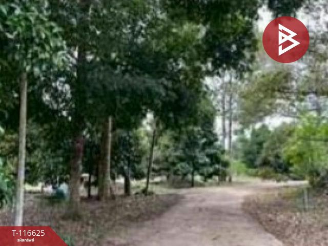 ขายที่ดินพร้อมสวน เนื้อที่ 7 ไร่ 22 ตร.วา มะขาม จันทบุรี