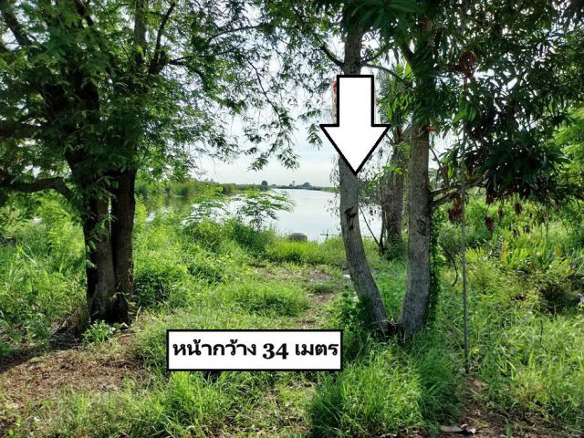 ขายที่ดิน 8-2-1 ไร่ ต.ดอนฉิมพลี อ.บางน้ำเปรี้ยว จ.ฉะเชิงเทรา ใกล้หนองจอก ที่ดินเป็นน้ำ