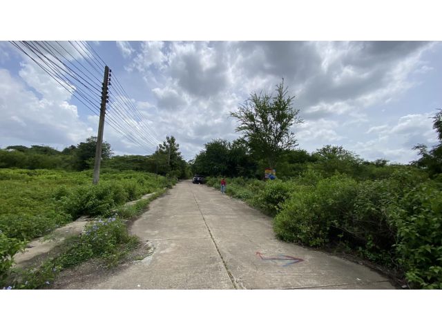 ขายต่ำกว่าราคาตลาด ที่ดิน 356 ตรว หน้าติดถนนคอนกรีต หลังติดคลอง ซ.เทศบาลบางปลา เมืองสมุทรสาคร