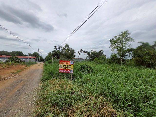 ขายที่ดินคลอง 4 ใกล้มอเตอร์เวย์  200 ตรว ติดถนนสาธารณะ อ.คลองหลวง จ,ปทุมธานี