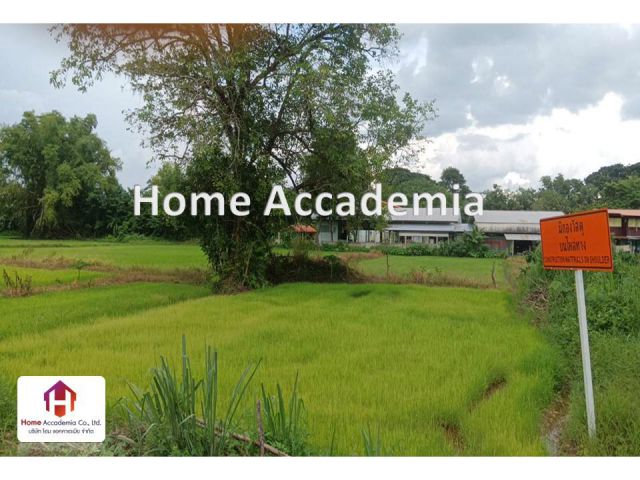 ขาย ที่ดิน  3 งาน 90 ตร.วา   ต.น้ำก่ำ อ.ธาตพนม จ. นครพนม