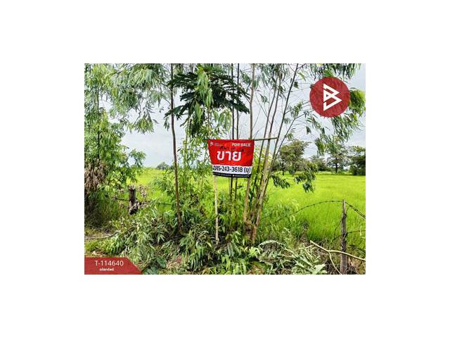 ขายที่ดิน เนื้อที่ 15 ไร่ 40.9 ตร.วา ยางตลาด กาฬสินธุ์