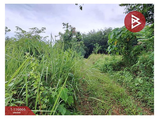 ขายที่ดิน เนื้อที่ 58 ตร.วา ทุ่งสง นครศรีธรรมราช