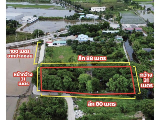 ขายที่ดินไทรน้อย แปลงสวย ทำเลทอง ใก้ลวัดมะสง