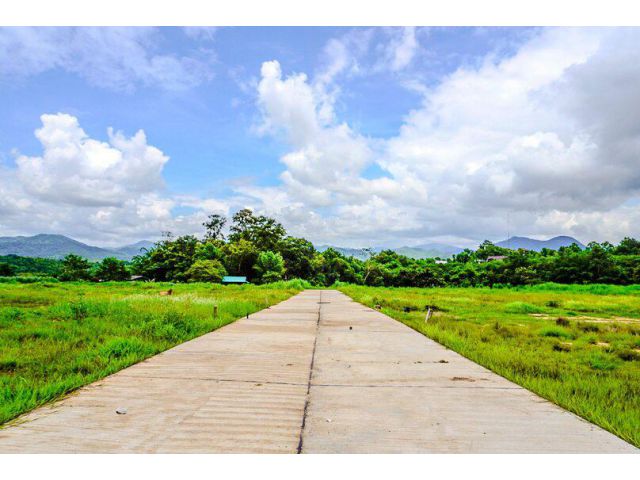 ขายที่ดินวิวเขา แม่ฮ่องสอน – ต.แม่นาเติง อ.ปาย ( 385.5 ตรว.)