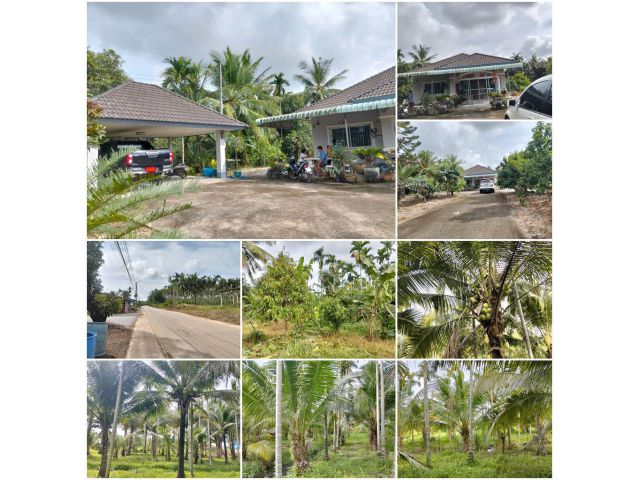 บ้านสวนพร้อมอยู่ 2ไร่ 3งาน 74ตร.วา️