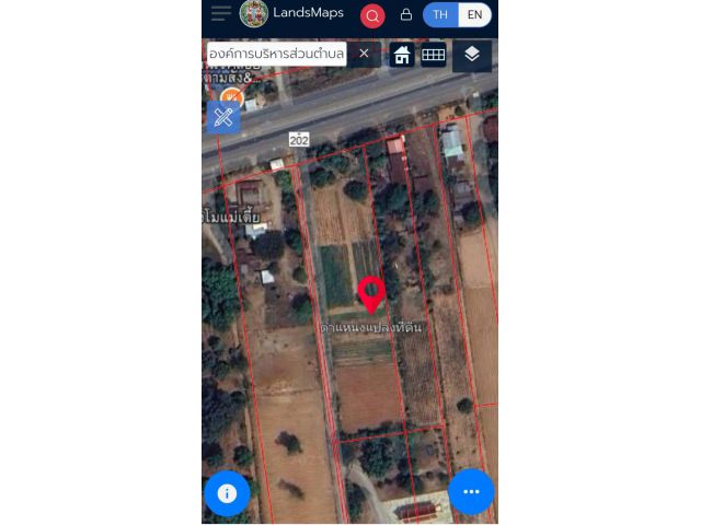 ขายที่ดิน4ไร่ติดถนน4เลนยโสธร -อำนาจเจริญ