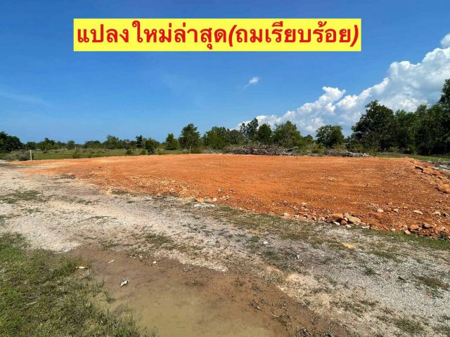 ขายที่ดิน 12 ห้อง แยกห้องได้ ยกแปลงได้ ที่ดินสวย ที่ดินถ่มแล้วมีอนาคตแน่นอน ราคาถูก