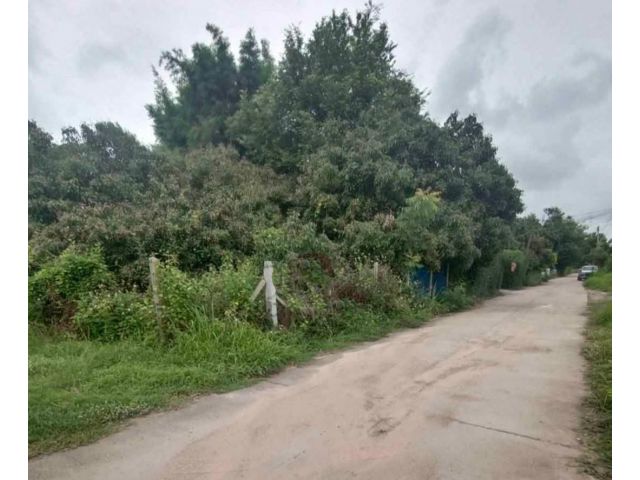 ขายที่ดินตำบลน้ำแพร่หางดงบ้านน้ำบุ่นติดถนนพร้อมโอน