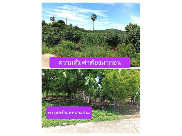มีแต่ได้มีครบไม่มีลบมีแต่บวก สวยนาทีพิฆาตกวาดให้หมดแปลง กล้าเสนอเพื่อตอบสนอง