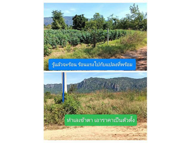 เป็นหนึ่งในทำเลราคานี้อยากให้เป็นหนึ่งในใจคุณ ให้ง่ายๆมีแต่ได้กับได้จนกว่าจะพอใจ กล้าๆหน่อยแล้วจะได้แปลงที่ใช่สำหรับคุณ