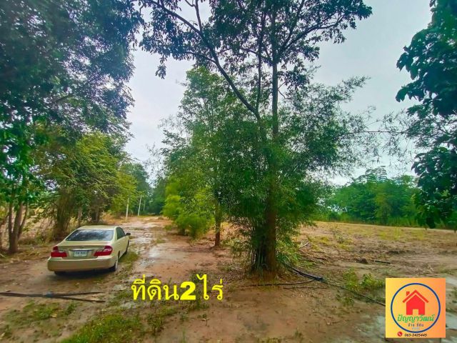 ขายด่วนๆๆ ที่ดิน 2 ไร่ สวนผึ้ง เอกสารสิทธิ์โฉนดครุฑแดง เหมาะทำบ้านพักตากอากาศ หรืออยู่อาศัย บรรยากาศดี ไฟฟ้าประปาพร้อม