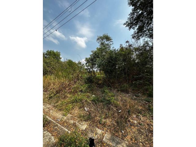 ขายที่ดิน 1 ไร่ ในหมู่่บ้าน KC GARDEN HOME
