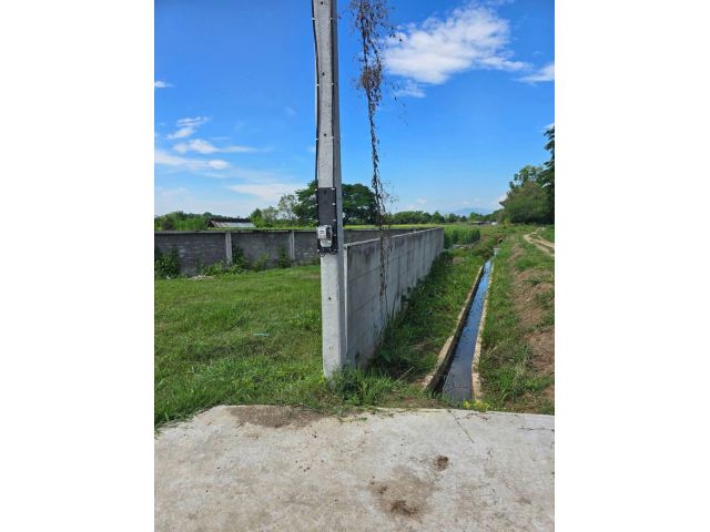 ขายที่ดินตำบลน้ำแพร่หางดงด้านข้างติดคลองชลประทานพร้อมโอน