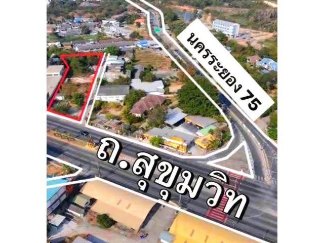 ขายที่ดินติดถนน​สุขุมวิท จ.ระยอง​ เนื้อที่​ 2​ ไร่​ 2 งาน​ 48 ตรว.