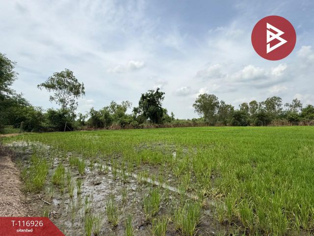 ขายที่ดิน เนื้อที่ 3 งาน 96 ตร.วา พุทธมณฑล นครปฐม