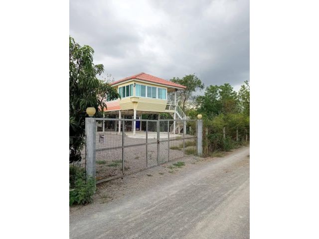 ราคาขายที่ดินพร้อมบ้านและสวน  192ตรว.ราคา 850,000 ครุฑแดง ผลไม้หลากหลายขนุนน้อยหน่ามะม่วงมีปั๊มน้ำ มี 1
