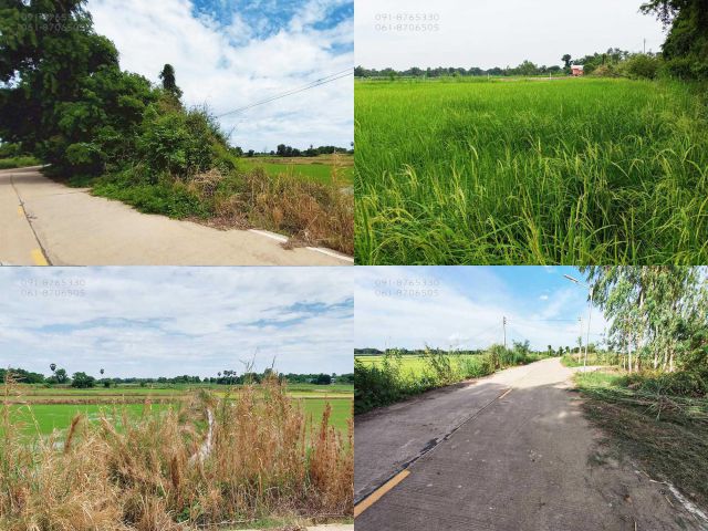 ขายที่ดิน 4ไร่ อยู่อำเภอเมือง นครสวรรค์ มีน้ำมีไฟ  ติดถนนคอนกรีต อยู่ในชุมชน ขายราคาถูก