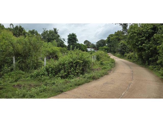ขายที่ดิน (เจ้าของขายเอง)
