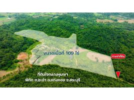 ขายที่ดินแปลงใหญ่ วิวภูเขา เหมาะสำหรับสร้างบ้านพักอาศัย รีสอร์ท สถานที่เที่ยว และทำสวนทุเรียน น้ำสมบูรณ์ คุ้มค่ากับราคา