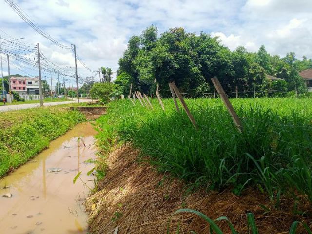 ขายที่ดินตำบลท่าวังตาลสารภีหน้าติดถนนติดลำเหมืองทำเลค้าขายได้
