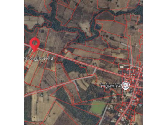 ขายที่ดิน 200 ตรว. อ.ศรีเมืองใหม่ จ.อุบลราชธานี ติดถนนคอนกรีต