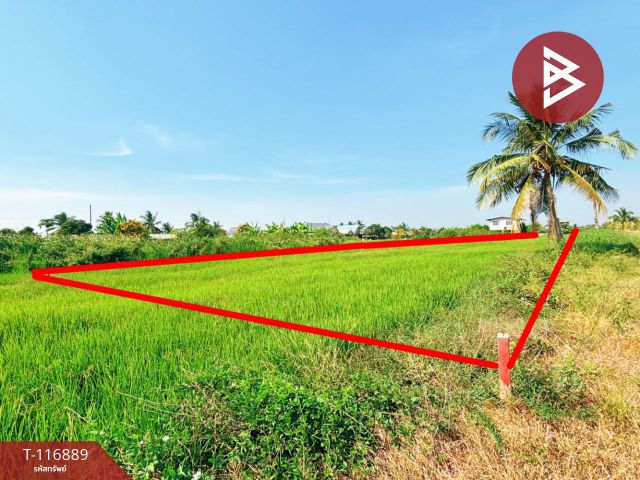 ขายที่ดิน ถ.ขุมทอง-ลำต้อยติ่ง เนื้อที่ 1 งาน ลาดกระบัง กรุงเทพมหานคร