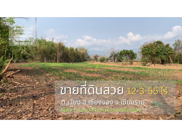 ขายด่วนราคาพิเศษ ที่ดินสวยน้ำไม่เคยท่วม 12-3-55 ไร่ วิวภูเขาในตัวเมืองอำเภอเชียงของ เหมาะสำหรับทำรีสอร์ท