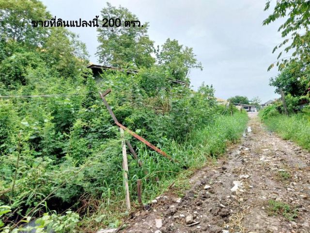 ขาย ที่ดินพร้อมสิ่งปลูกสร้างบ้านเก่า 200 ตรว. ถูก เกือบเท่าราคาประเมินกรมที่ดิน ซ.เจริญพัฒนา11 บางชัน เขตคลองสามวา