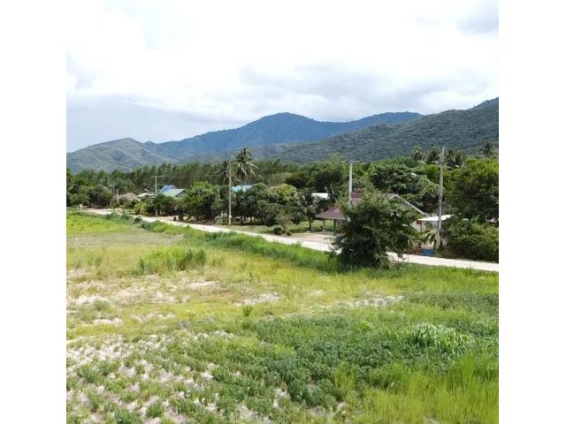 ขายด่วน ที่ดิน 12 ไร่ 1 งาน 27 ตร.วา ติดถนนคอนกรีต ไฟฟ้าประปาพร้อม ใกล้โรงเรียนบ้านบึง อำเภอบ้านคา ราชบุรี ที่ดินสวย