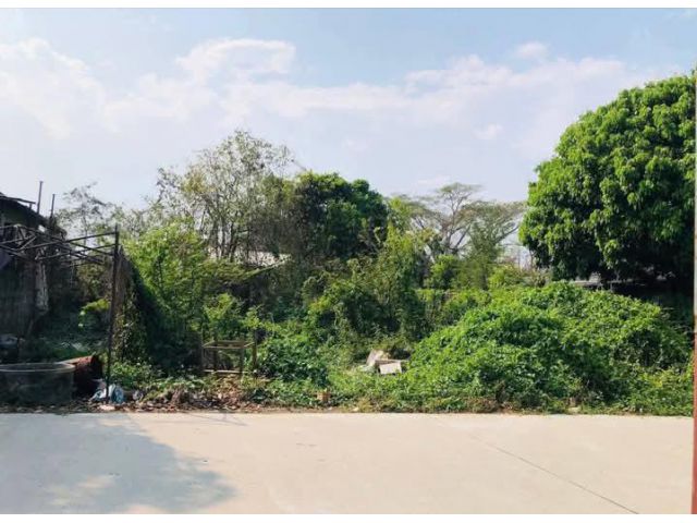 ขายที่ดินตำบลสันกลางแถววัดสันกลางใต้ติดถนนคอนกรีตราคาถูก
