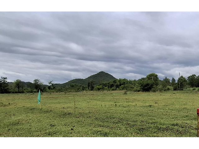 ขายด่วน ที่ดินราชบุรี #ที่ดินเพื่ออยู่อาศัย เนื้อที่ 200 ตร.วา,276ตร.วา ,1ไร่ มีไฟฟ้าประปาภูมิภาค อินเตอร์เน็ตถึง